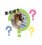 モフモフFamily（個別スタンプ：3）