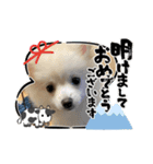 かなちゃんとくぅのスタンプ（個別スタンプ：14）