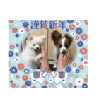 かなちゃんとくぅのスタンプ（個別スタンプ：15）