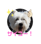 フロレベとゆかいな仲間たち...vol.3（個別スタンプ：1）