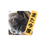 返信用スタンプ  フレブル編（個別スタンプ：3）