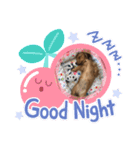 ラナ(222)（個別スタンプ：6）