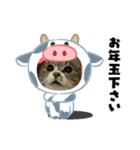 ちびみや9（個別スタンプ：1）