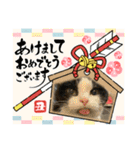 ちびみや9（個別スタンプ：2）