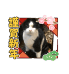 ちびみや9（個別スタンプ：4）