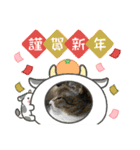 ちびみや9（個別スタンプ：5）