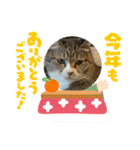 ちびみや9（個別スタンプ：6）