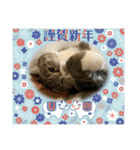 ちびみや9（個別スタンプ：7）