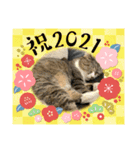 ちびみや9（個別スタンプ：10）