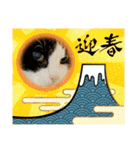 ちびみや9（個別スタンプ：11）