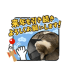 ちびみや9（個別スタンプ：14）