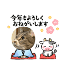 ちびみや9（個別スタンプ：19）