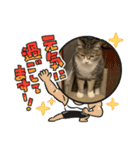 ちびみや9（個別スタンプ：20）