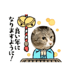 ちびみや9（個別スタンプ：21）