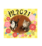 ちびみや9（個別スタンプ：24）