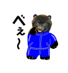冬に便利で可愛い。熊犬バースくん（個別スタンプ：23）