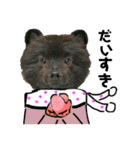 冬に便利で可愛い。熊犬バースくん（個別スタンプ：24）