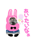 冬に便利で可愛い。熊犬バースくん（個別スタンプ：25）