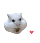ハムスターのぽっちゃん2（個別スタンプ：3）