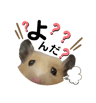 みんちょこまるスタンプ②（個別スタンプ：1）