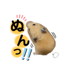 みんちょこまるスタンプ②（個別スタンプ：5）