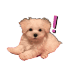 ふわふわカイト（個別スタンプ：2）