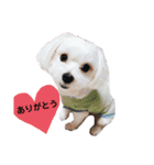 ふわふわカイト（個別スタンプ：4）
