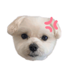 ふわふわカイト（個別スタンプ：6）