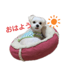ふわふわカイト（個別スタンプ：10）