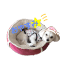 ふわふわカイト（個別スタンプ：11）