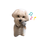 ふわふわカイト（個別スタンプ：12）