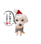 ふわふわカイト（個別スタンプ：15）