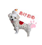 ふわふわカイト（個別スタンプ：16）