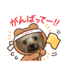 ヨーキーズ5大好き（個別スタンプ：2）