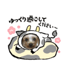 ヨーキーズ5大好き（個別スタンプ：3）