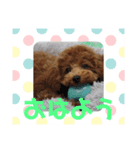零(248)（個別スタンプ：1）