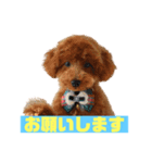 零(248)（個別スタンプ：3）