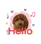 零(248)（個別スタンプ：4）