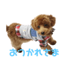 零(248)（個別スタンプ：5）