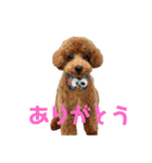 零(248)（個別スタンプ：7）