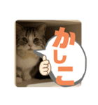 ウルマナのギャル語スタンプ（個別スタンプ：4）