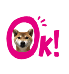 そらたんのスタンプ！（個別スタンプ：1）