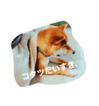 そらたんのスタンプ！（個別スタンプ：4）