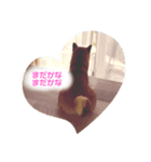 そらたんのスタンプ！（個別スタンプ：6）