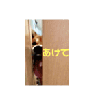 そらたんのスタンプ！（個別スタンプ：8）