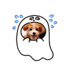 ぺぽたんのすたんぷ。（個別スタンプ：1）