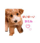 ぺぽたんのすたんぷ。（個別スタンプ：4）