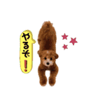 ぺぽたんのすたんぷ。（個別スタンプ：8）