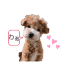 ぺぽたんのすたんぷ。（個別スタンプ：11）