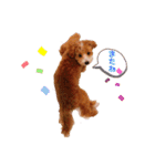 ぺぽたんのすたんぷ。（個別スタンプ：13）